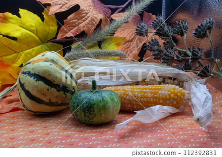 Festive autumn halloween fall harvest background pumpkin's and squash Festive autumn halloween fall harvest background pumpkin's and squash 112392831