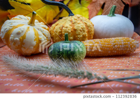Festive autumn halloween fall harvest background pumpkin's and squash 112392836