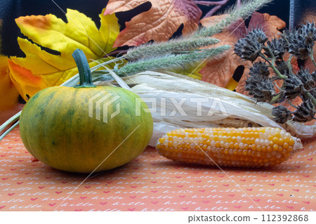 Fall background Green pumpkin with corn and leaves  112392868
