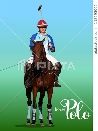 Image of polo player in action. 3d color vector illustration 112393003