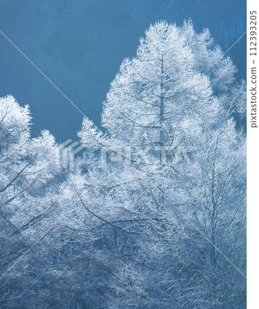 Spectacular winter scenery - beautiful hoarfrost Spectacular winter scenery - beautiful hoarfrost 112393205