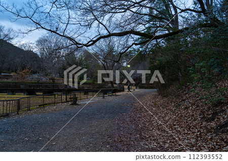 A walk after sunset 112393552