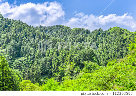 Miyagase Lakeside Park in spring - Image of fresh greenery Miyagase Lakeside Park in spring - Image of fresh greenery 112393593