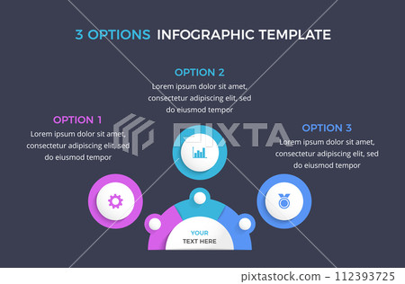 Infographic Template with 3 Options 112393725