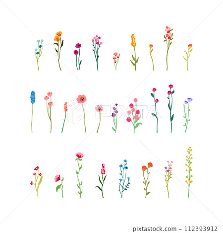 Delicate flowers and stems. Big Set botanic elements. Wildflowers, herbs with foliage. Collection garden and wild foliage and branches. illustration isolated on white background. 112393912