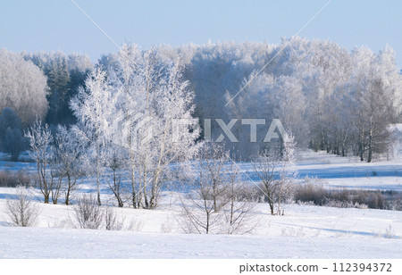 trees covered with thick frost on a frosty winter day 112394372