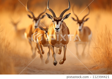 AI-generated content. Capturing the exquisite grace of antelopes in the golden light of the african savannah at sunset 112394421