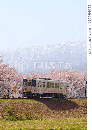 Cherry blossoms in full bloom, remaining snow, Flower Nagai Line, Yamagata Railway Cherry blossoms in full bloom, remaining snow, Flower Nagai Line, Yamagata Railway 112394671