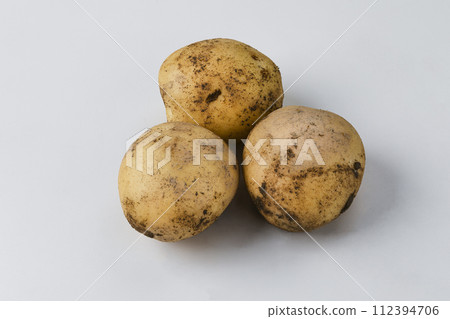 收穫的土豆 112394706