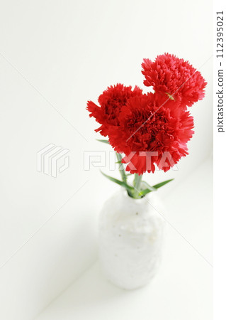 Red carnations displayed in a Japanese-style white vase (white background, copy space, simple) 112395021