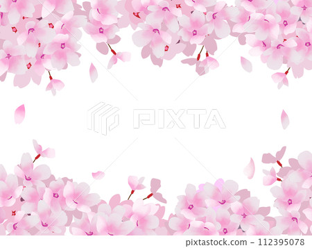 盛開的櫻花的框架圖 112395078