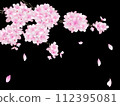 夜晚落下的櫻花花瓣的框架 112395081