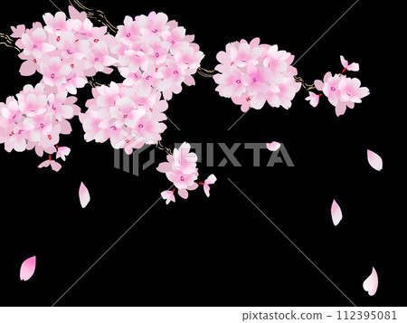夜晚落下的櫻花花瓣的框架 112395081