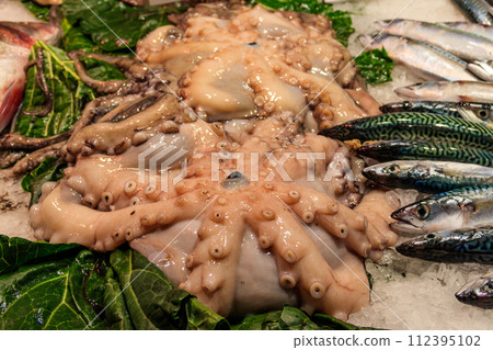 Octopus and fish for sale in a fish market Octopus and fish for sale in a fish market 112395102