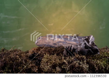 Dry branch lying on moss. Dry log on moss. Forest composition. 112396530