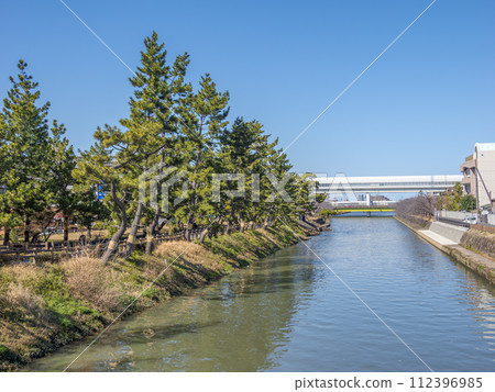 A timeless landscape: the pine trees of the nationally designated scenic spot “Soka Matsubara” and the Tokyo Gaikan Expressway (Soka City, Saitama Prefecture) 112396985
