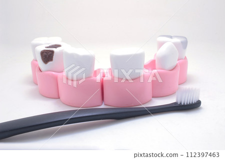 Oral hygiene, Artificial model tooth, brushing teeth Oral hygiene, Artificial model tooth, brushing teeth 112397463