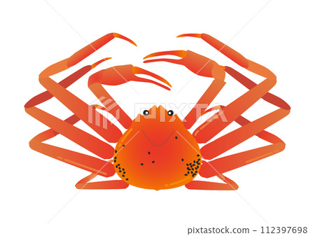 Vector illustration of snow crab Vector illustration of snow crab 112397698
