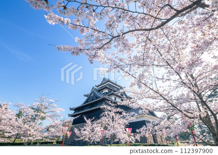 Matsue castle in spring Matsue castle in spring 112397900
