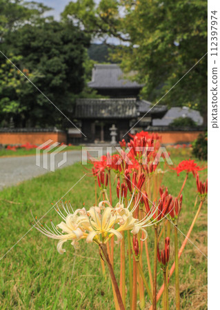 Kaidan-in temple in autumn when red spider lily blooms Kaidan-in temple in autumn when red spider lily blooms 112397974