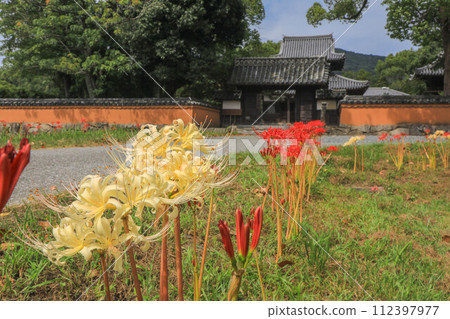 Kaidan-in temple in autumn when red spider lily blooms 112397977