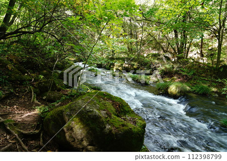 Mountain stream scenery deep in the mountains: fresh greenery and clear water flow 112398799