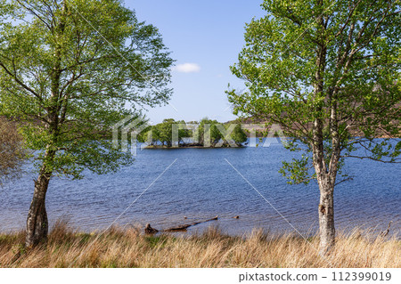Tranquil Scottish loch, embraced by spring's green, hosts red deer on a small, verdant island Tranquil Scottish loch, embraced by spring's green, hosts red deer on a small, verdant island 112399019