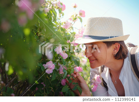 woman enjoying aroma in Field of Damascena roses in sunny summer day. Rose petals harvest for rose oil perfume production. village Guneykent in Isparta region, Turkey real paradise for eco-tourism woman enjoying aroma in Field of Damascena roses in sunny summer day. Rose petals harvest for rose oil perfume production. village Guneykent in Isparta region, Turkey real paradise for eco-tourism 112399141