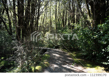 Arthur's Pass National Park 1 112399170