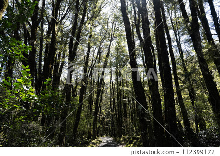 Arthur's Pass National Park 2 112399172