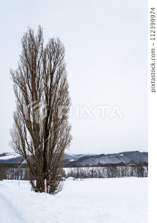 Snowy scenery of the hills of Biei, Hokkaido 112399974
