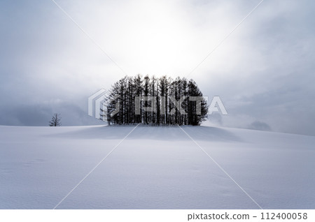 北海道美瑛山的雪景 北海道美瑛山的雪景 112400058