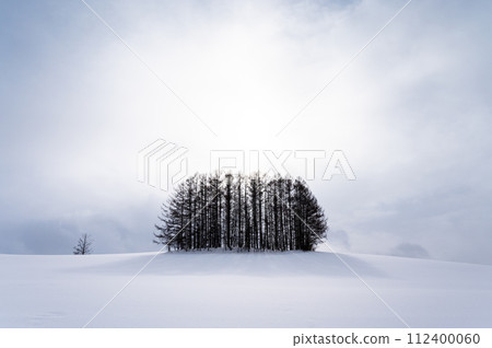 北海道美瑛山的雪景 北海道美瑛山的雪景 112400060