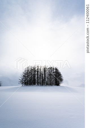 北海道美瑛山的雪景 112400061