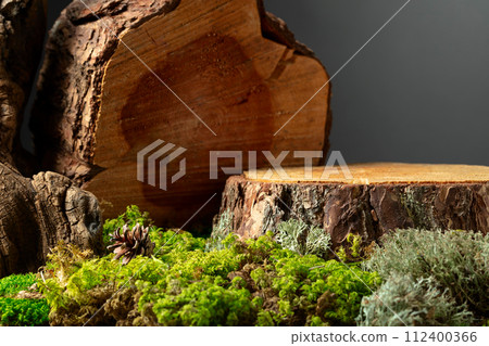 Composition with natural wood, moss and lichen for advertising eco products. 112400366