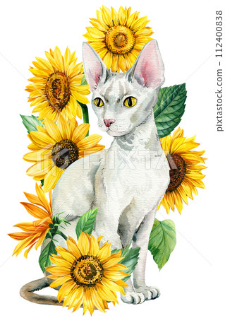 animal with flower, cat and Sunflower isolated white background. Painting Watercolor hand drawing bright colors poster animal with flower, cat and Sunflower isolated white background. Painting Watercolor hand drawing bright colors poster 112400838
