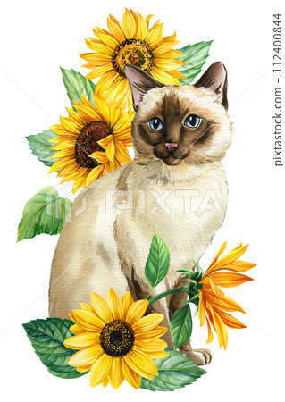 animal with flower, cat and Sunflower isolated on white background. painting Watercolor hand drawing autumn color poster 112400844