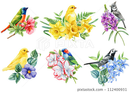 set of spring birds and flowers isolated on white background. Watercolor hand drawing Botanical painting set of spring birds and flowers isolated on white background. Watercolor hand drawing Botanical painting 112400931