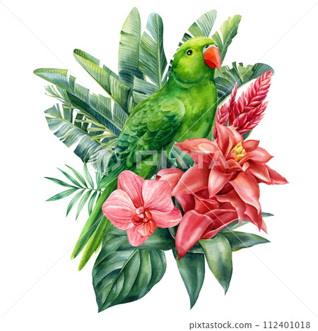 Tropical Bird, flowers, leaves and green plants watercolor hand drawn illustration. Exotic wildlife design Amazon parrot 112401018