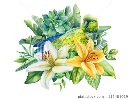 Tropical Bird, flowers, leaves and green plants watercolor hand drawn illustration. Exotic wildlife design Amazon parrot Tropical Bird, flowers, leaves and green plants watercolor hand drawn illustration. Exotic wildlife design Amazon parrot 112401019