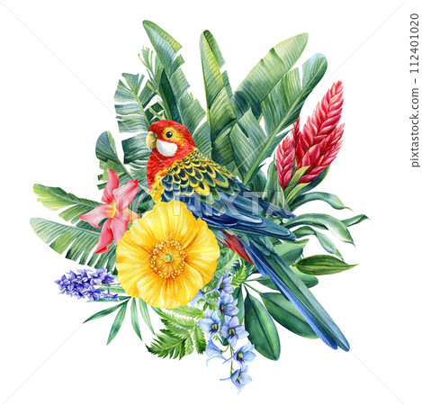 Tropical Bird, flowers, leaves and green plants watercolor drawing illustration. Exotic wildlife design. Rosella parrot Tropical Bird, flowers, leaves and green plants watercolor drawing illustration. Exotic wildlife design. Rosella parrot 112401020