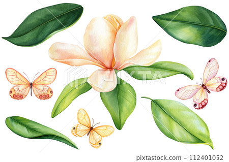 Set of butterfly, green leaves and magnolia flower bouquet. Tropical flora watercolor illustration, botanical painting 112401052