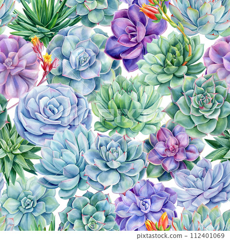 succulent subscriptions Monthly Subscription Box