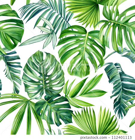 Tropical seamless pattern with exotic palm tree. Summer floral watercolor illustration. Creative jungle plant design 112401113
