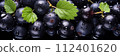 Fresh wet black currant berries background, backdrop, banner, texture. black currant berries closeup shot with water drops 112401620