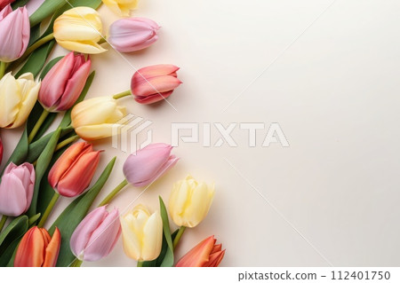 Colorfulips fan out on a light surface, a vivid spring display. Copy space Colorfulips fan out on a light surface, a vivid spring display. Copy space 112401750