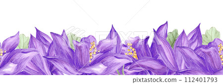 Hand drawn watercolor purple aquilegia flowers seamless border isolated on white background. Can be used for cards, label, textile and other printed products. Hand drawn watercolor purple aquilegia flowers seamless border isolated on white background. Can be used for cards, label, textile and other printed products. 112401793