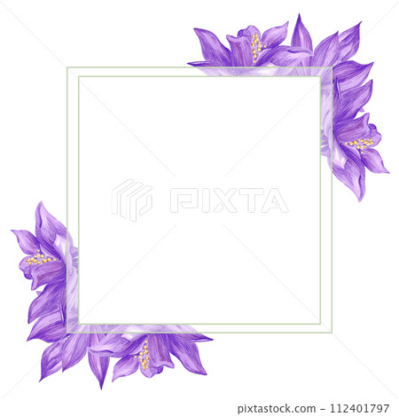 Hand drawn watercolor purple aquilegia flowers frame border isolated on white background. Can be used for cards, label, invitation and other printed products. 112401797