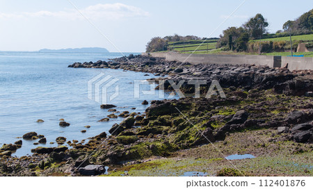 Basalt Hayasaki Peninsula 112401876