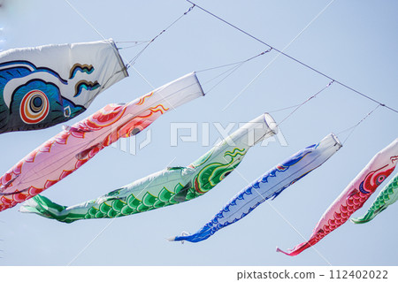 Carp streamer swimming in the blue sky 112402022